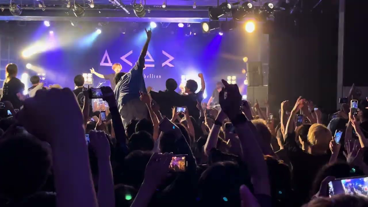 a crowd of rebellion - HOUKOU / M1917 / Hydrangea (05/24/2024)