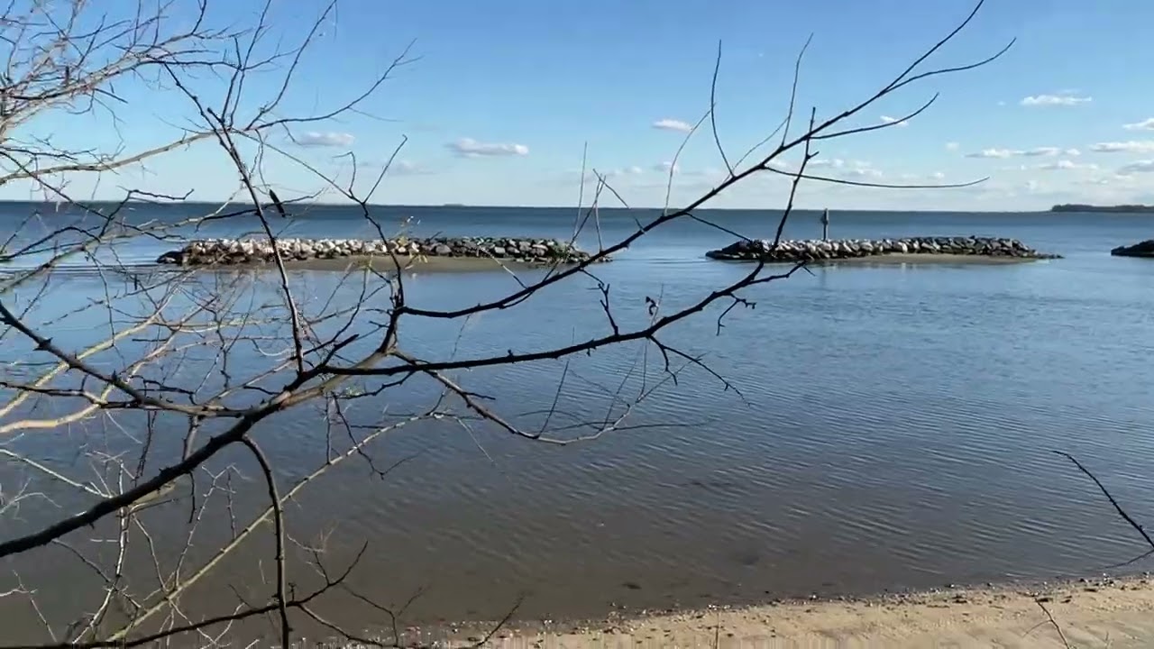 BEVERLY TRITON NATIONAL PARK EDGEWATER Monday Nov 10, 2025. Walking in the Beach 