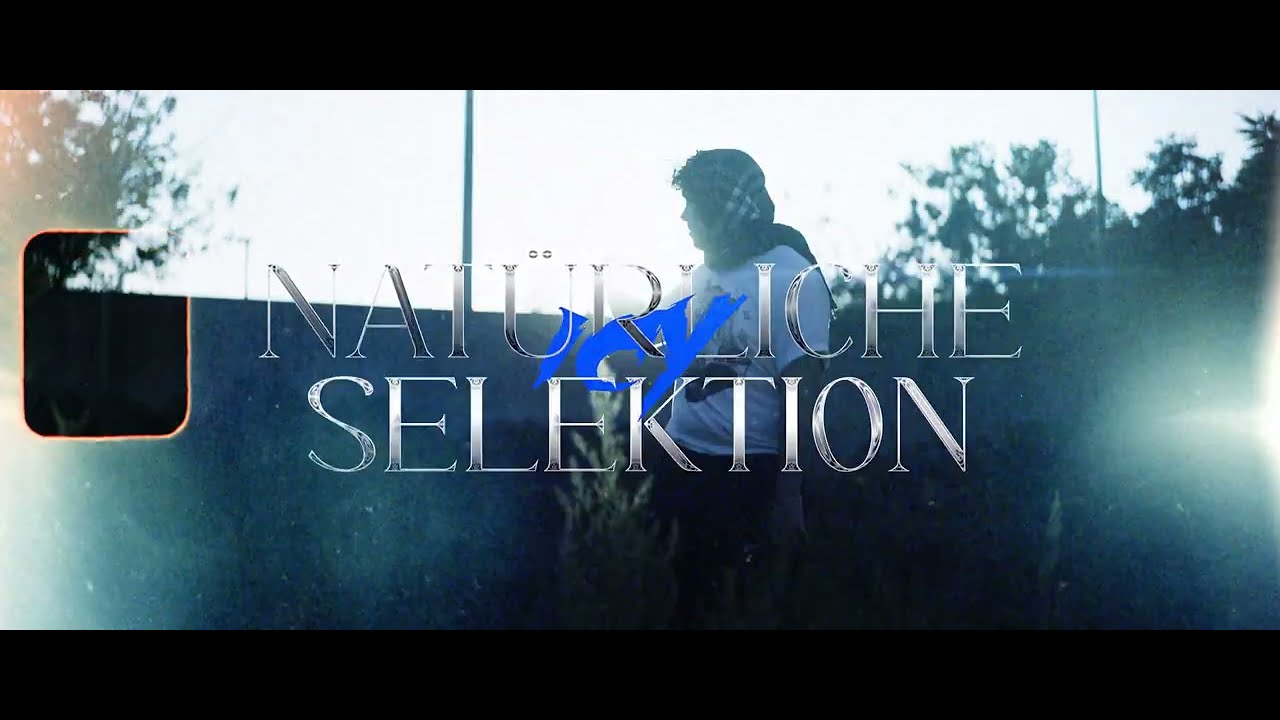 NATÜRLICHE SELEKTION (prod. 808 Vibes)