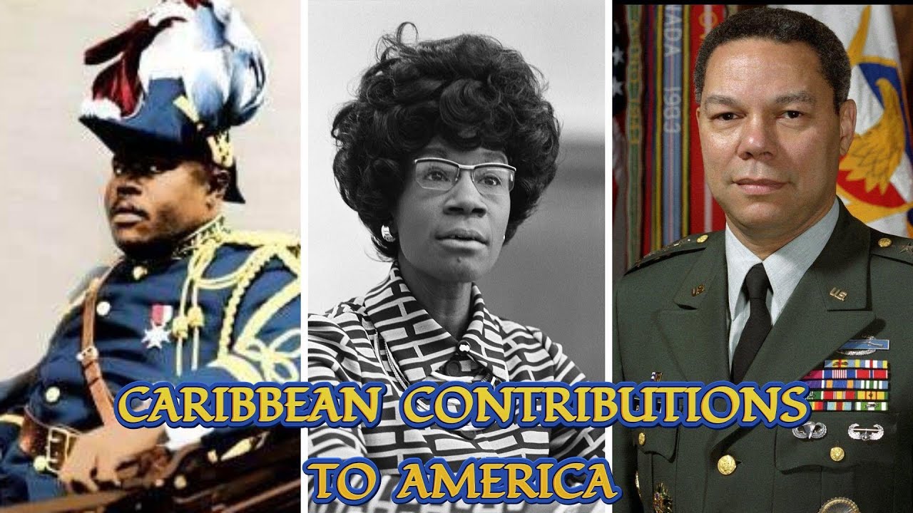 Let's Be Accurate about their Contributions to America