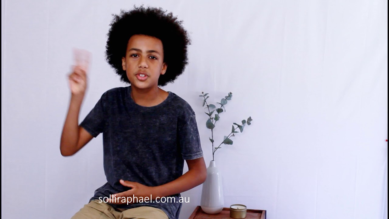 Solli Raphael - Embrace Our Differences