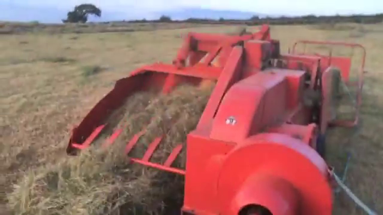 International Baling Hay With Massey Ferguson 703 Baler