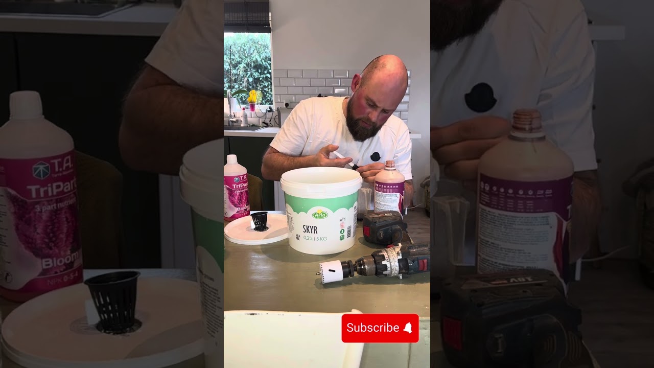 Hydroponi (hydroponics) dyrkning af tomater uden jord