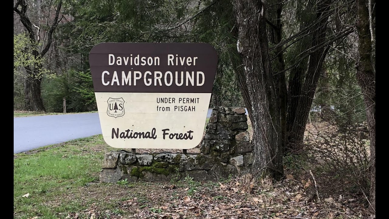 Davidson River Campground