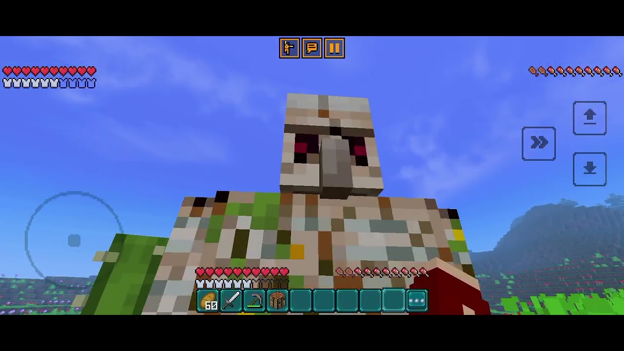 Minecraft video 