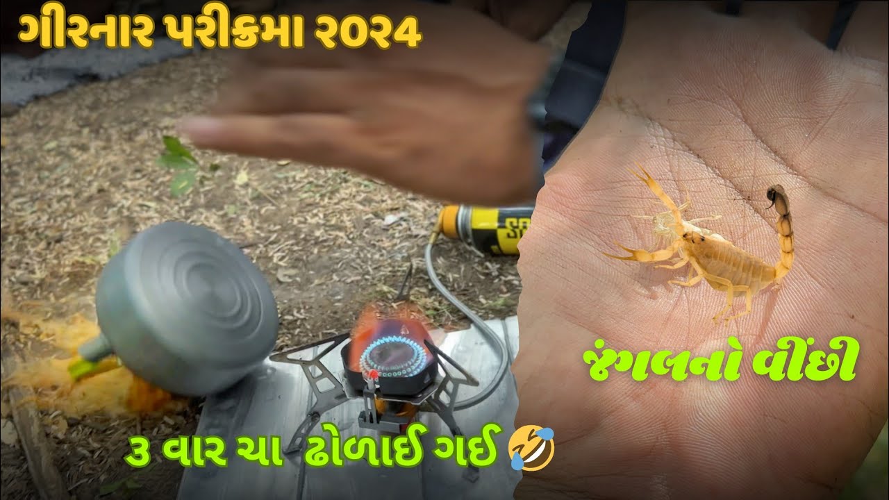 વીંછી ના કારણે આજે ૩ વાર ચા ઢોળાઈ ગઈ 🤣🤣  | ગિરનારની પરિક્રમા | 2025જીણાબાવાની મઢી થી મારવેલા