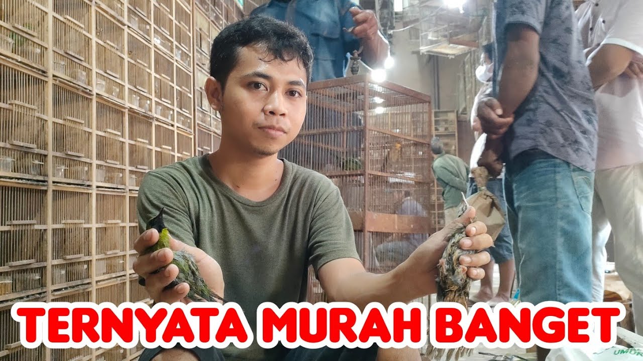TERNYATA MURAH BANGET DI SINI//PASAR BURUNG DEPOK SOLO