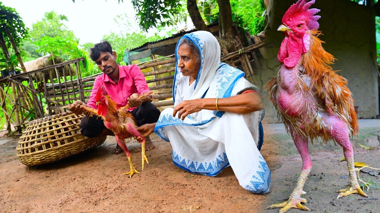 পাহাড়ি মোরগ রান্না | মায়ের হাতে প্রথম পাহাড়ি মোরগ রান্না | village style cooking hill chicken