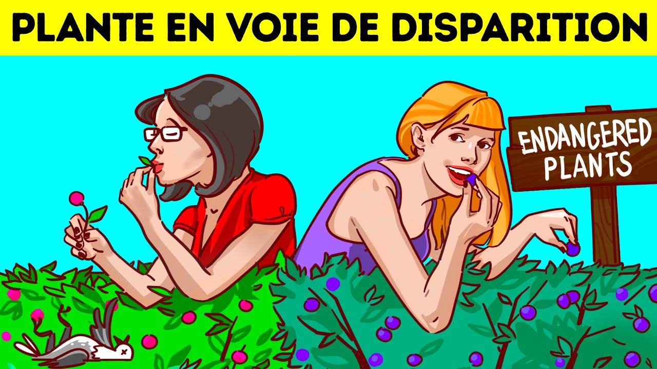 Devine qui n'est pas Intelligent 25 Enigmes
