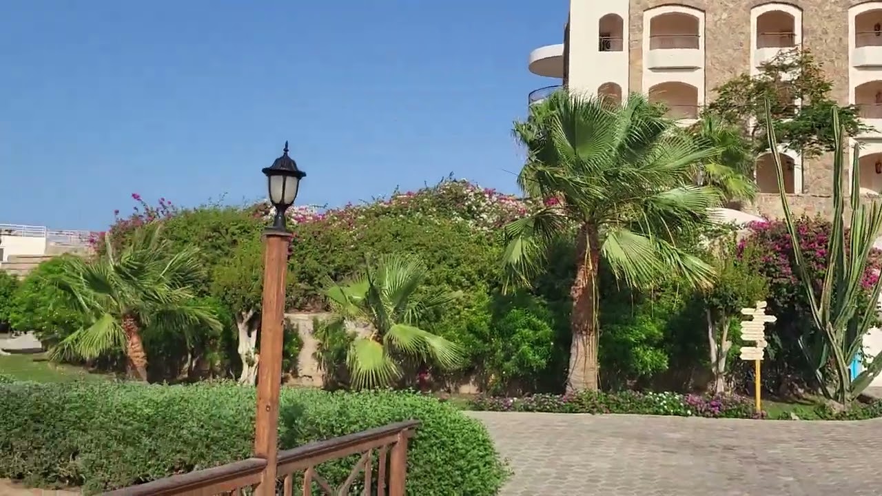 Royal Brayka Marsa Alam 2024.06 (8)