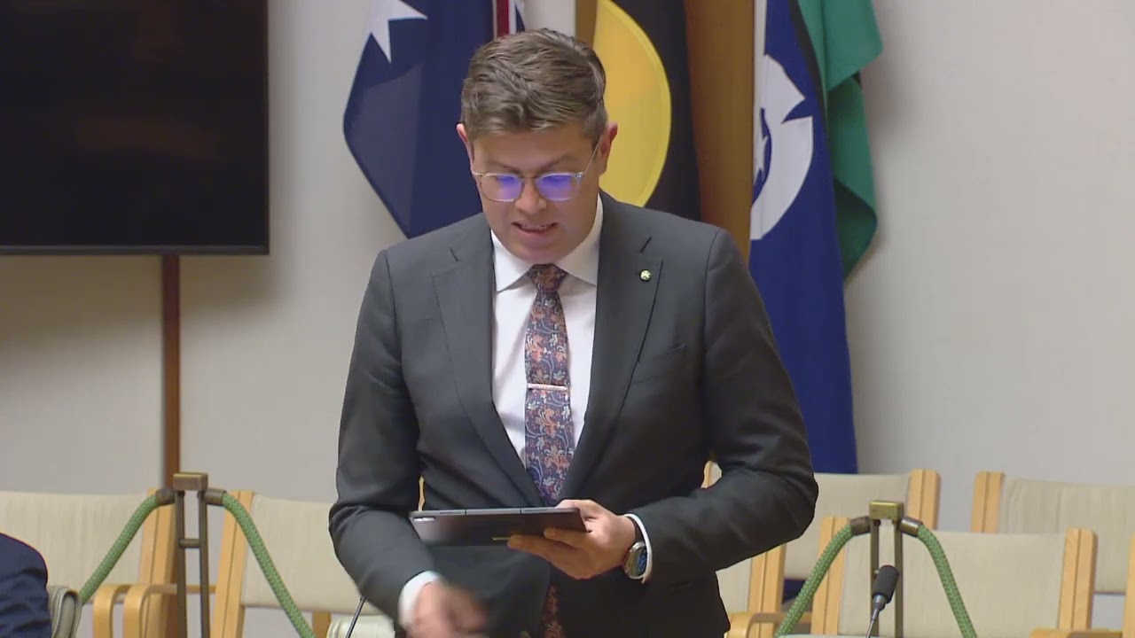 Ai, its potential and the importance of ethics - House of Representatives Speech 28 July 2025