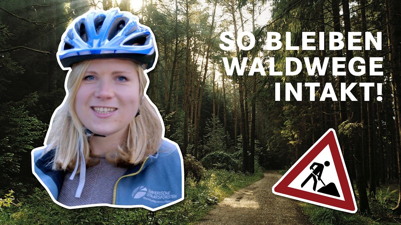 Wegepflege? Wege im Wald für Freizeit, Rettung & Forstwirtschaft I BaySF Web-Reportage