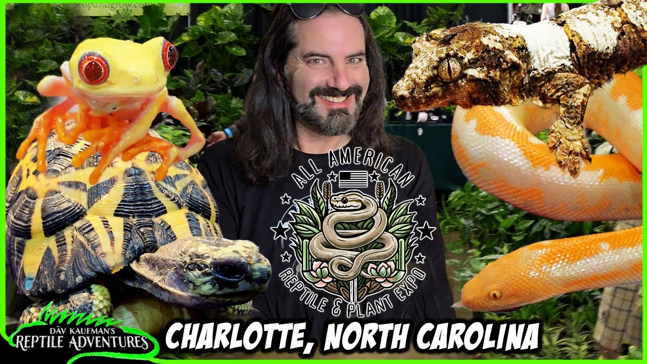 ALL AMERICAN REPTILE & PLANT EXPO! Charlotte, North Carolina, April 2025