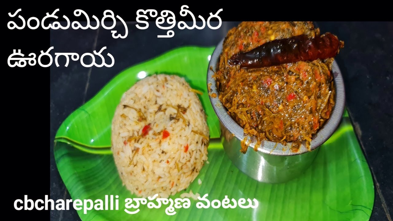 how to make red chilli coriander pickle పండు మిర్చి కొత్తిమీర ఊరగాయ cbcharepalli vantalu