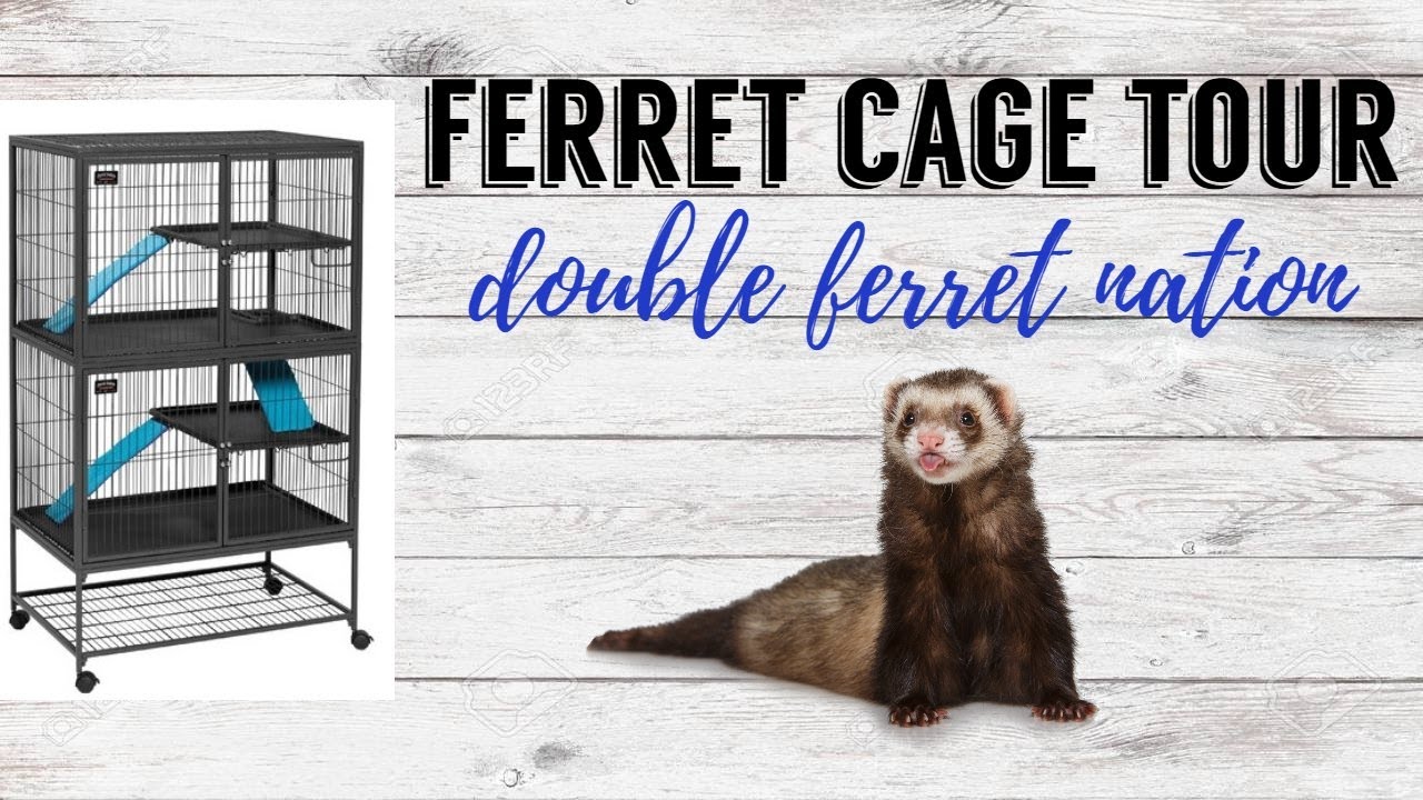 FERRET CAGE TOUR