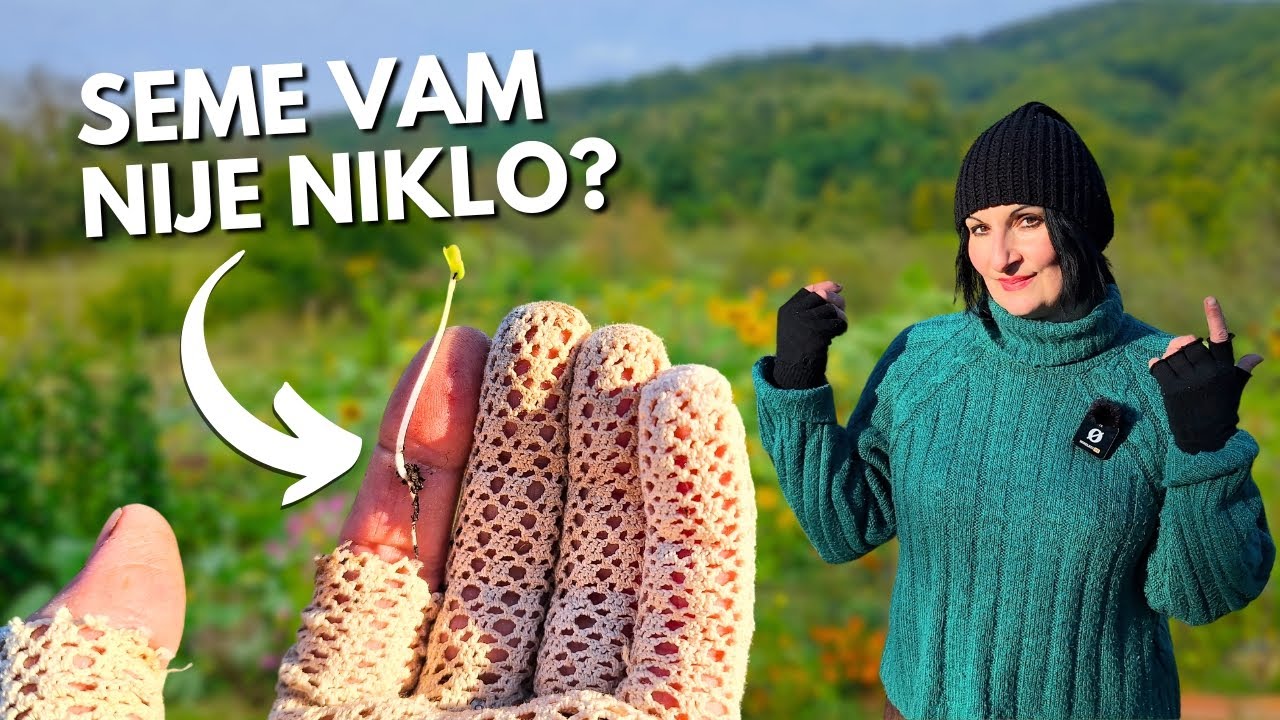 Основные причины, почему ваши семена не прорастают!