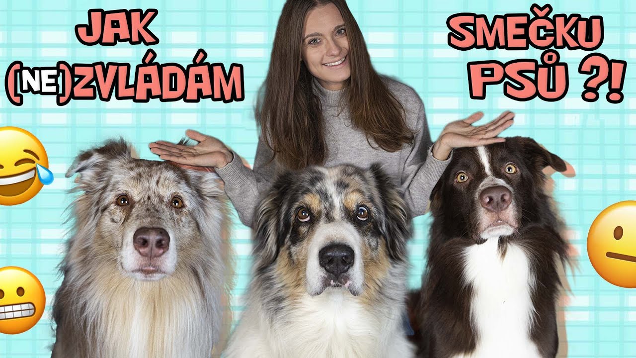 Jak (ne)ZVLÁDÁM svou SMEČKU PSŮ?!😂😬 Se psy podle Veroniky