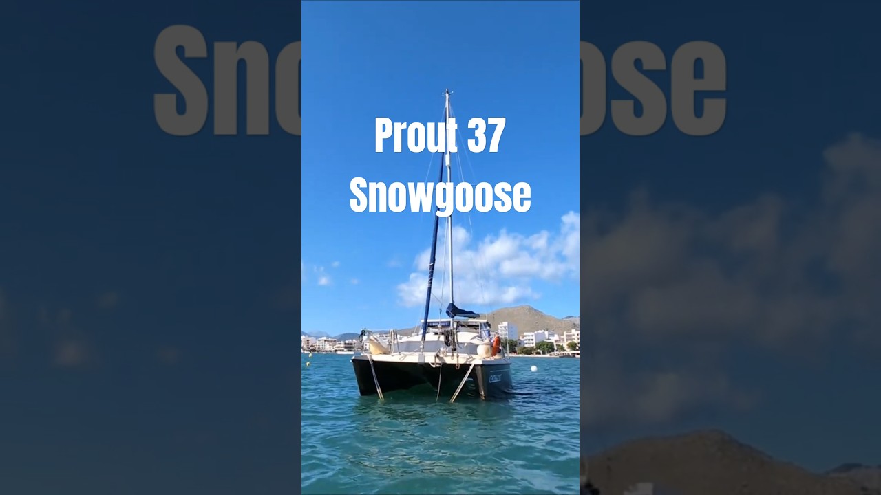 Prout 37 Snowgoose Sailing Catamaran for Sale