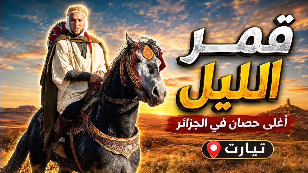 زرت أكبر مركز لتربية الخيول في افريقيا شوشاوة بتيارت