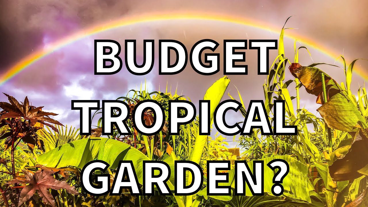 How to Grow a UK Tropical Garden on a Budget