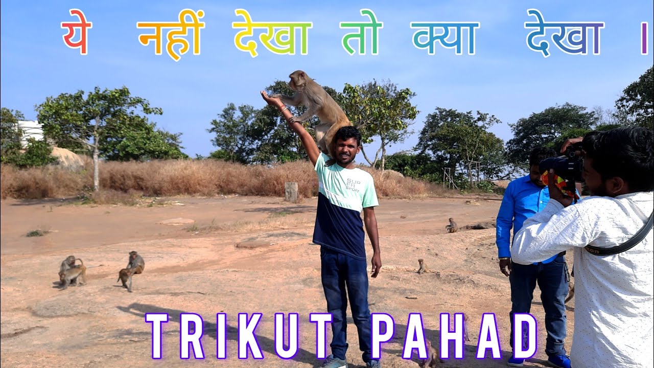 Monkey Photography On Trikut Parwat, Team Ak Mandal