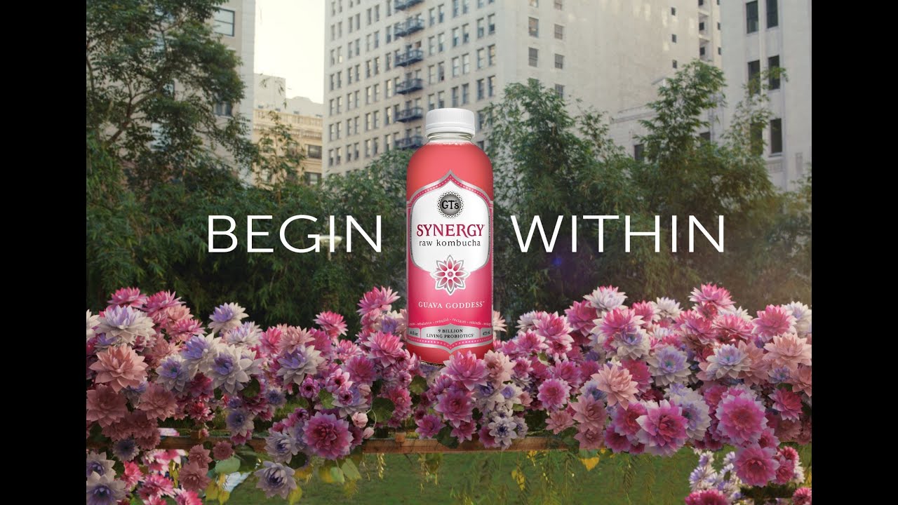 SYNERGY Raw Kombucha &ndash; Begin Within &mdash; GT&rsquo;s Living Foods