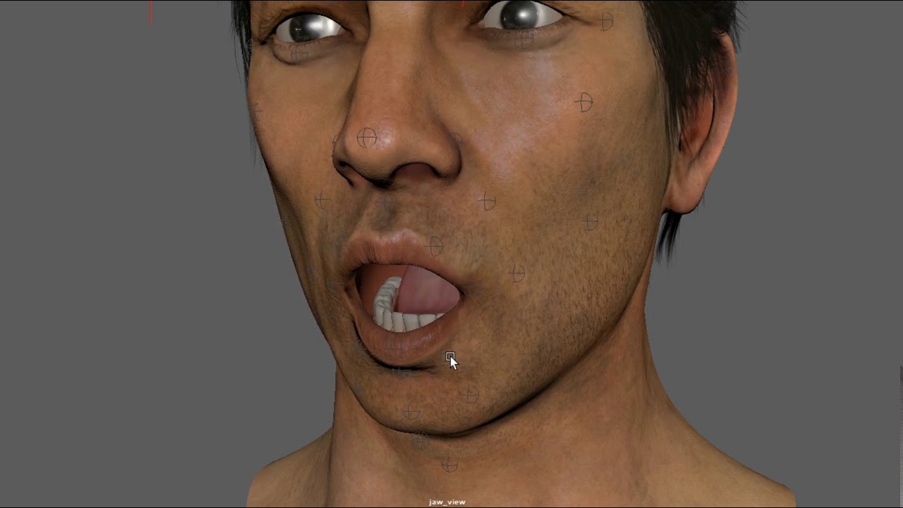 Male FACS Facial Rigging