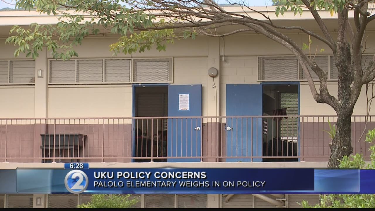 Elementary school says support, education led to drop in head lice cases
