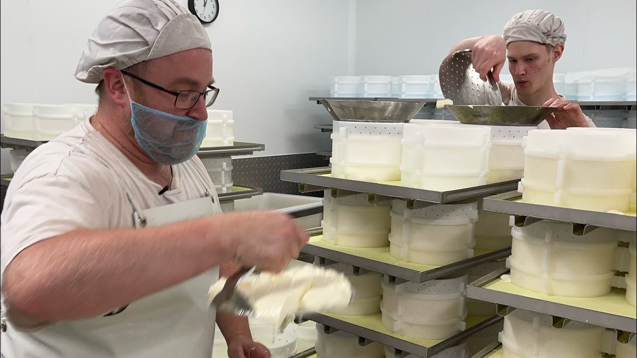 Fen Farm Dairy Episode 2 - Meet the Head Cheesemaker in charge of delicious Baron Bigod Cheese!