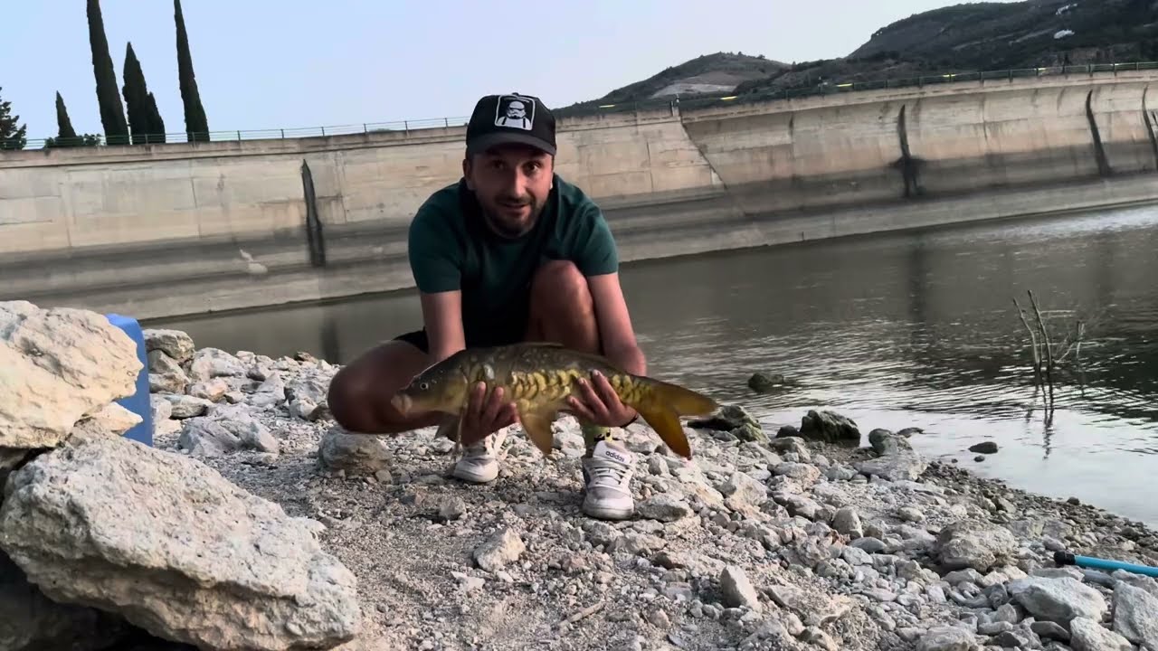 Carpfishing Granada - Embalse de Beznar - pesca Granada