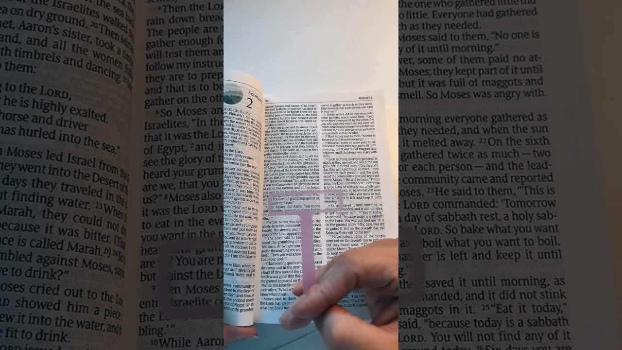 Daily Bible study February 2nd 