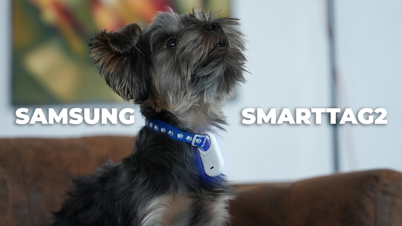 Cum iti gasesti obiectele pierdute, cainele pierdut cu un singur gadget. Review Samsung Smart Tag 2
