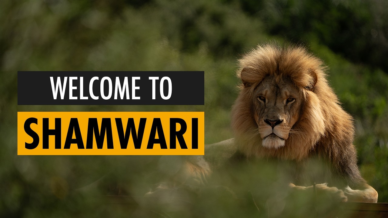 Welcome to Shamwari
