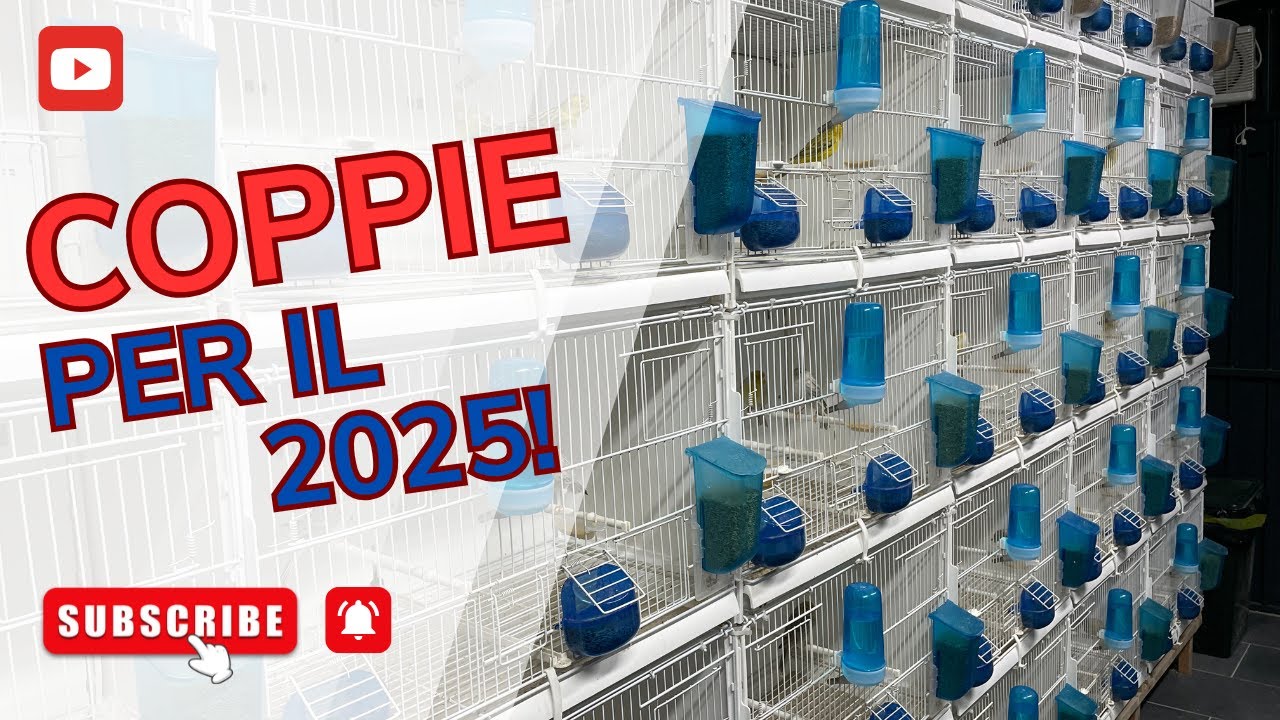 Formazione coppie per la stagione riproduttiva 2025!