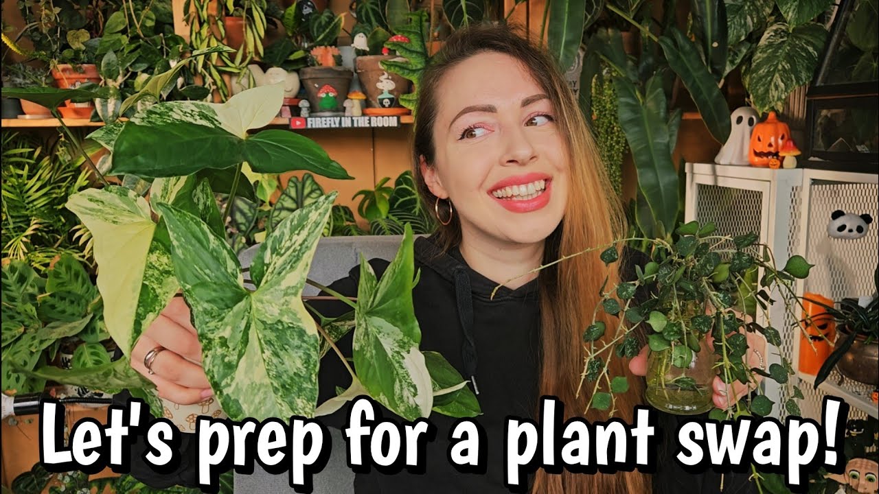 Let's prepare for the annual plant swap!📦🌿