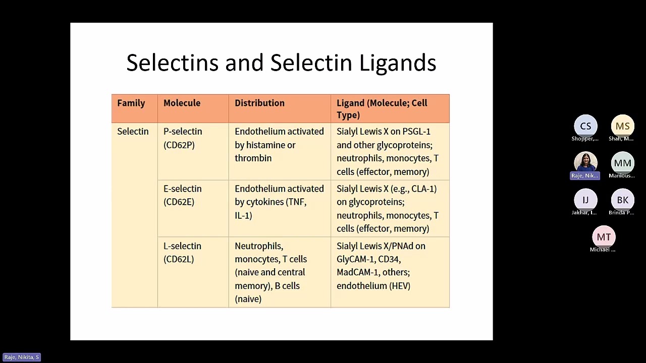 Abbas Chapter 3: Leukocyte Migration (Raje)