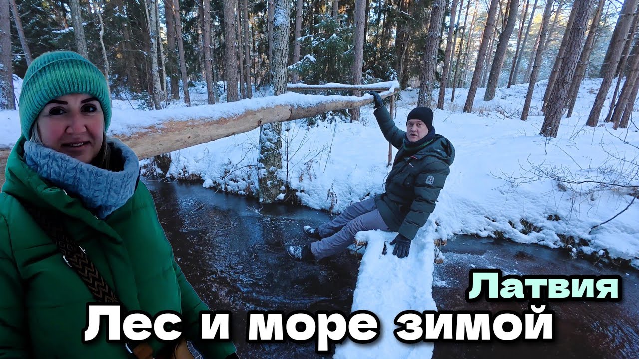 Лес и море в январе в -15°C. Кемпинги. Говорим о жизни | Латвия, Вентспилс 