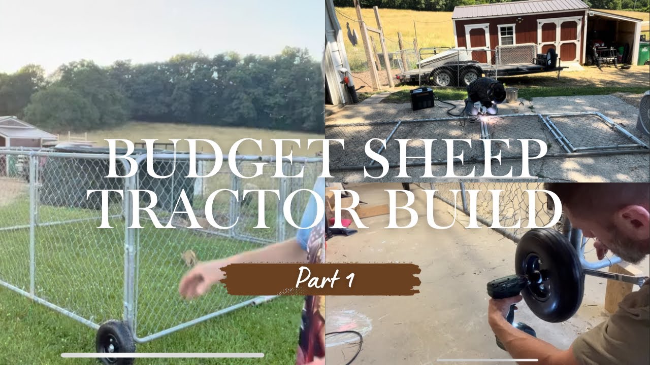 Budget Sheep Tractor Build Part 1
