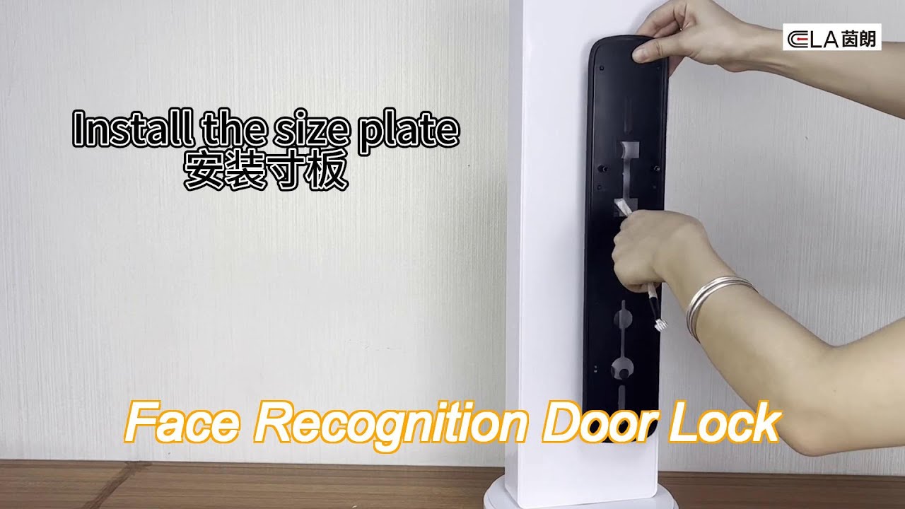Office Face Recognition Door Lock Fingerprint Scanner Door Access System