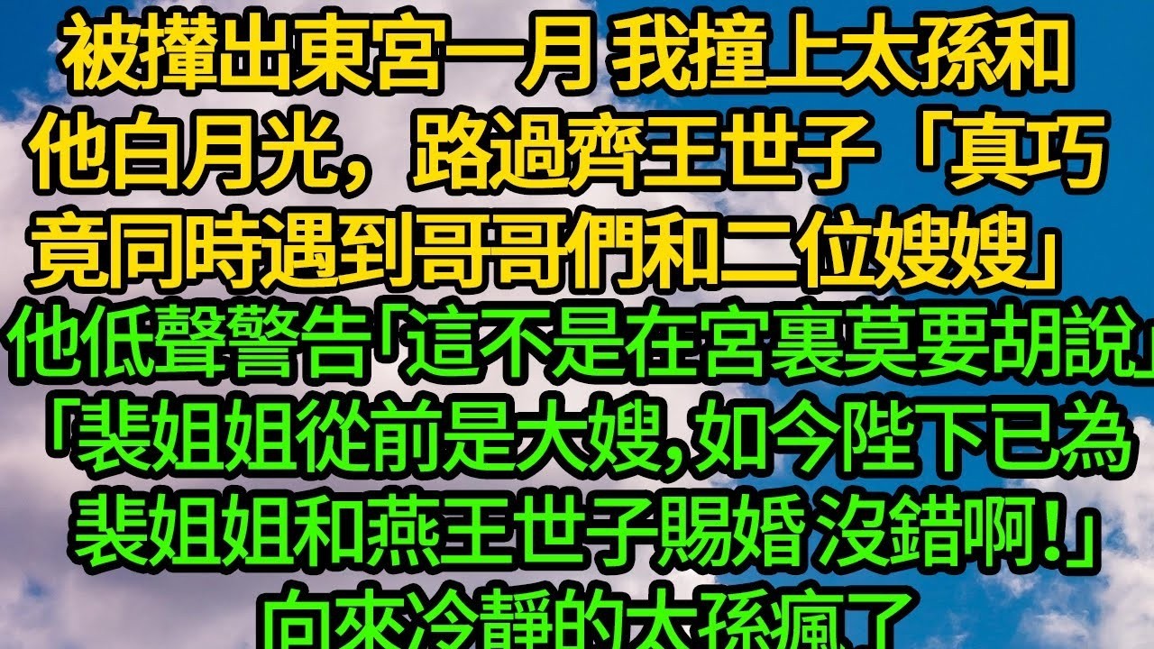 被攆出東宮一月 我撞上太孫和他白月光，路過齊王世子「真巧竟同時遇到哥哥們和二位嫂嫂」他低聲警告「這不是在宮裏莫要胡說」「裴姐姐從前是大嫂，如今陛下已為裴姐姐和燕王世子賜婚 沒錯啊！」
