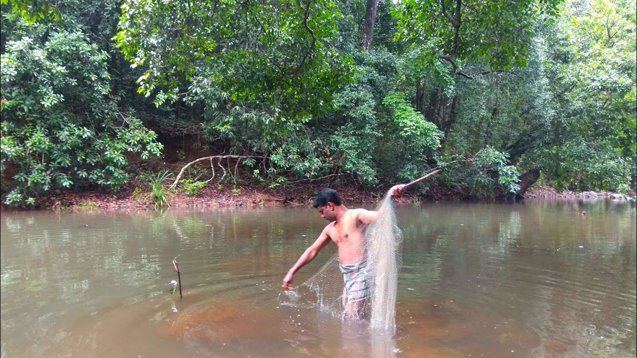 Net fishing | Gill net fishing in indian river | Catching fish in a small stream of water |
