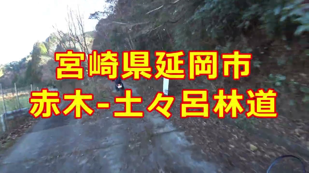 【宮崎県　林道】赤木-土々呂林道 2025年版　 #crf250l で行く#林道 ＃ツーリング　#4k