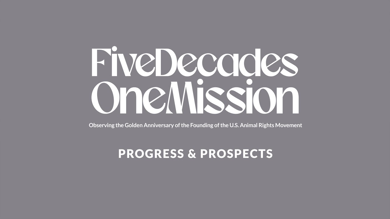 Five Decades — One Mission, Episode Six: Progress and Prospects