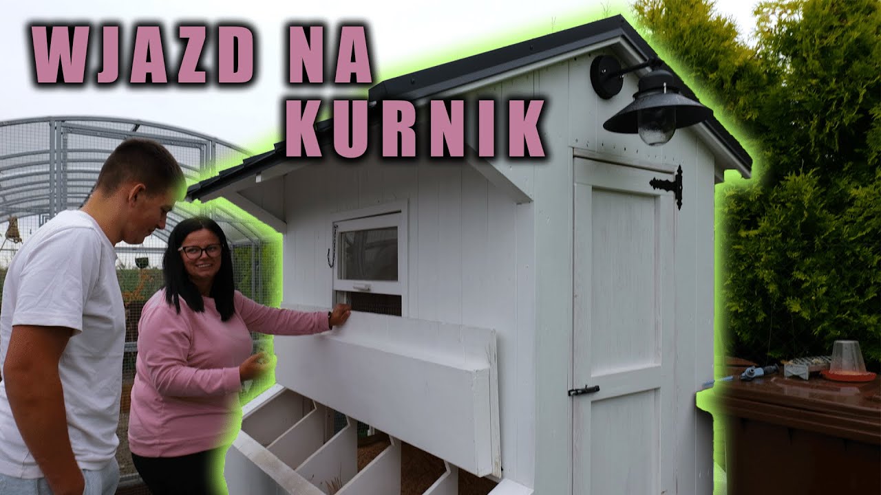 WJAZD NA KURNIK u... KASI IN !!! *46 pisklaków silek*