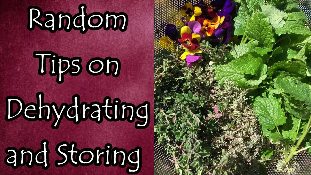 Random Tips on Dehydrating