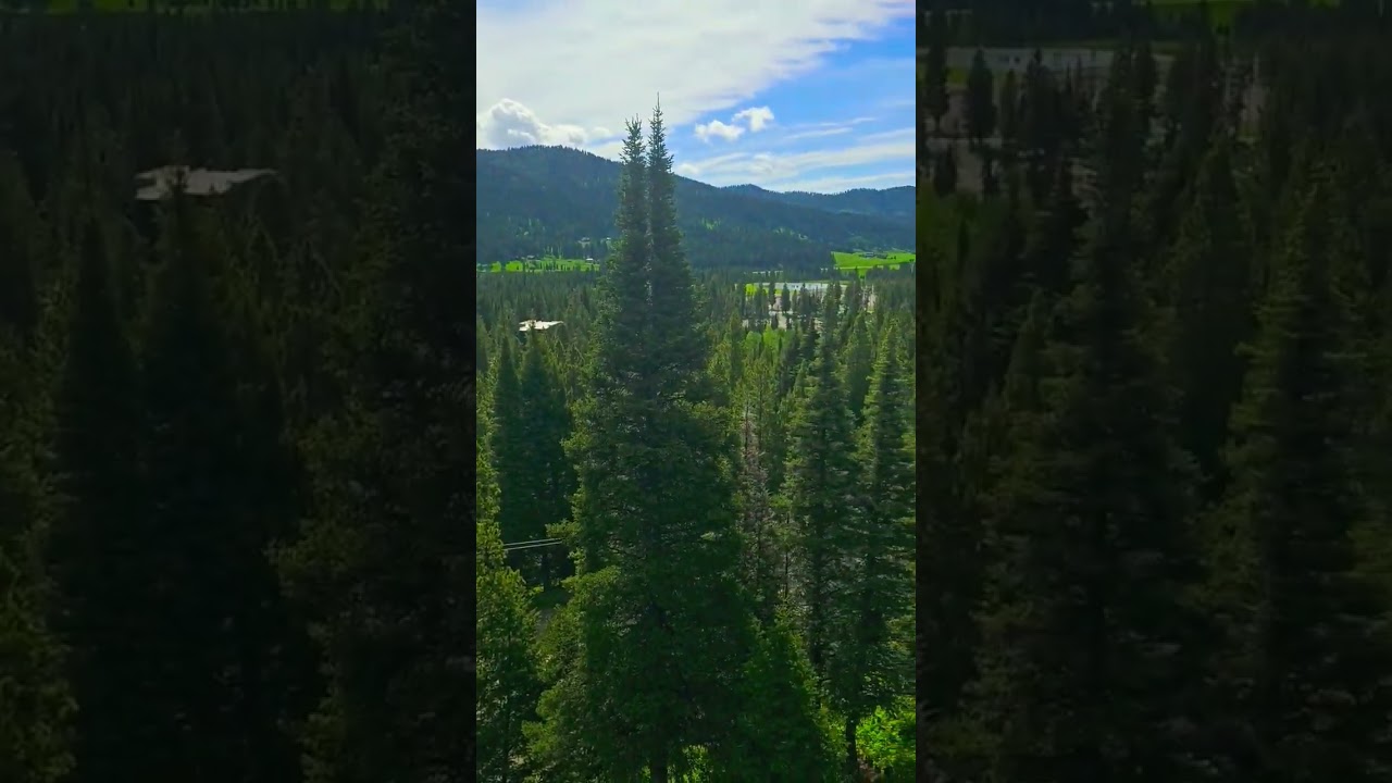 #roofing #naturaleza #montana #502