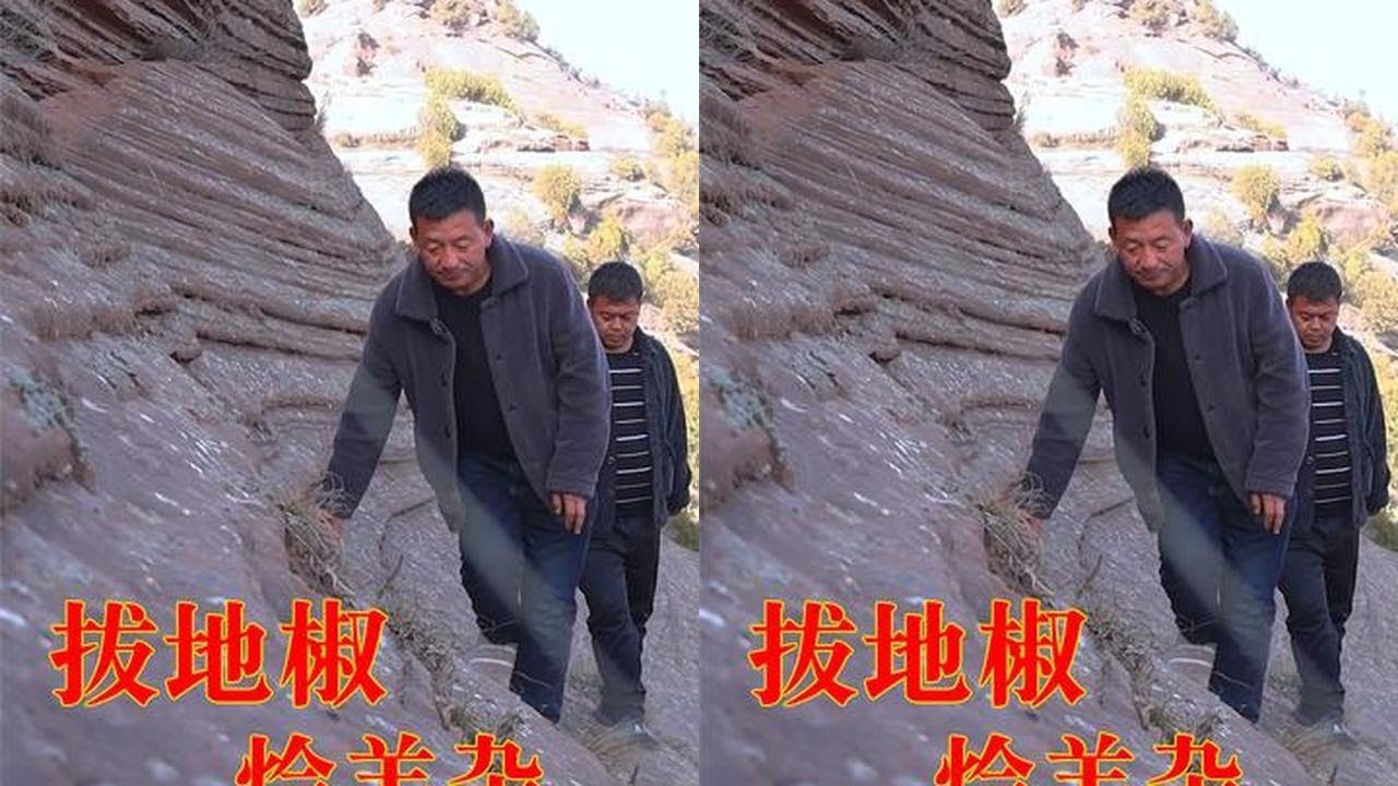 小伙烩一锅看着“色香味俱全”的羊杂碎，但事情往往不能光看表面 #我的乡村生活