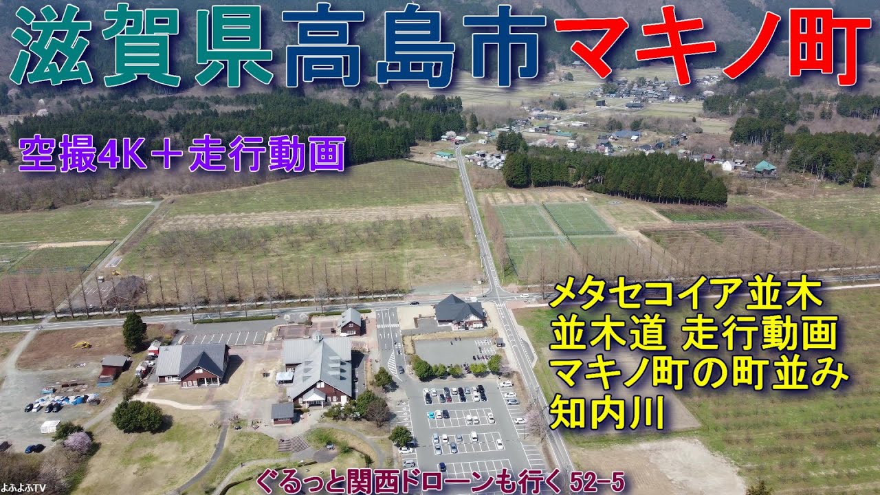滋賀県高島市マキノ町  メタセコイア並木   並木走行動画   マキノ町の町並み  知内川  高島市農業公園マキノピックランド  【DJI Mini2】空撮4K  ぐるっと関西ドローンも行く52-5