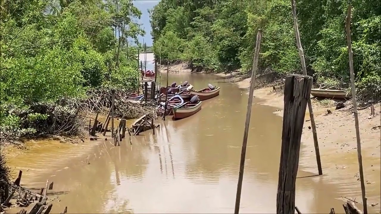 Suriname 2022 - part 2, Commewijne district