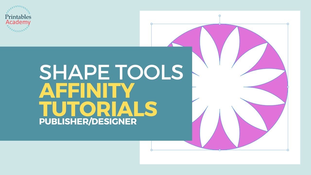Affinity V2: All the Shape Tools and Options
